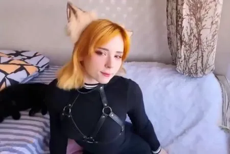 Pożądliwy lis ssie i skacze na członka (WIDEO)